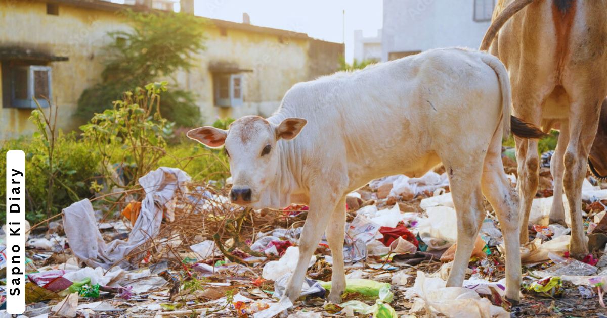 gau mata